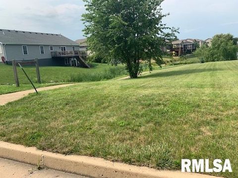 Vacant Land For Sale - 1255 Johanna Drive<br/> Metamora, IL 61548