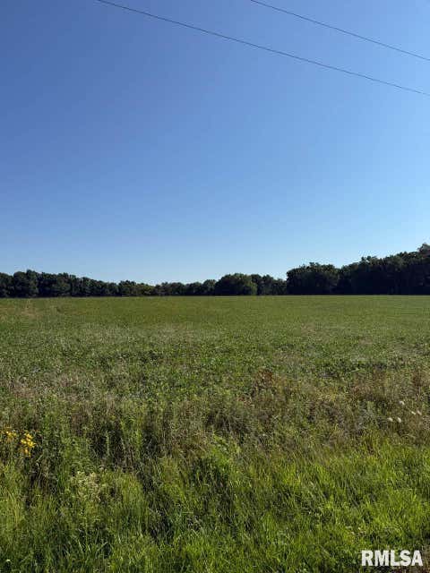 Vacant Land For Sale - RR E 2300 N Avenue<br/> Fayette County, Brownstown, IL 62418