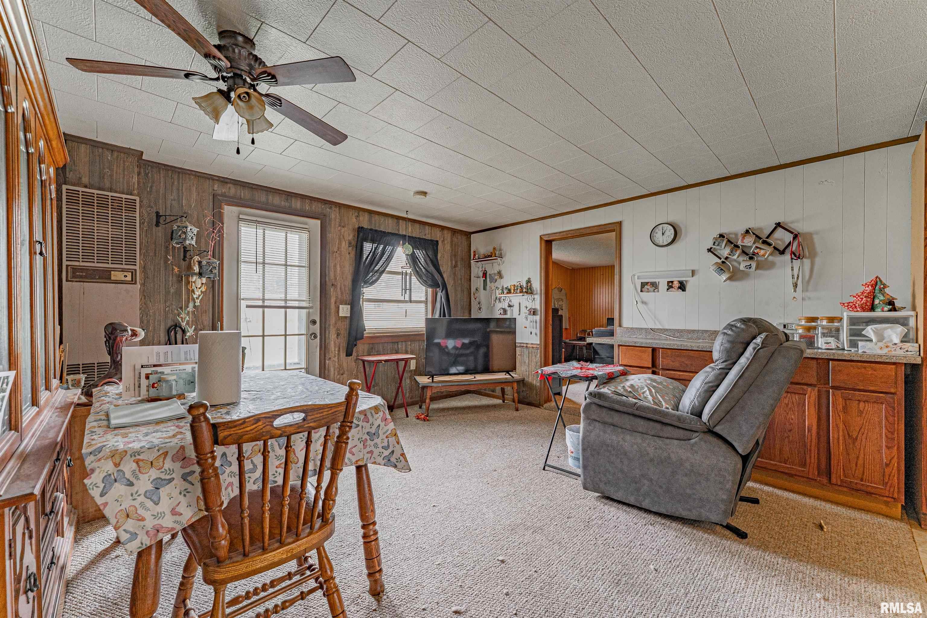 204 Mulberry Street, Lake Fork, Illinois image 3