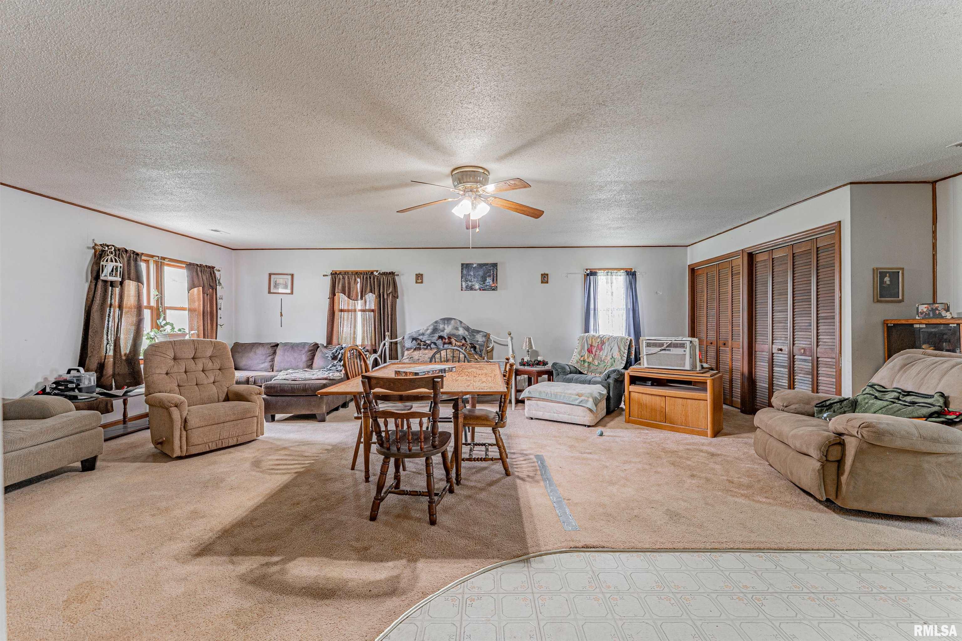204 Mulberry Street, Lake Fork, Illinois image 7