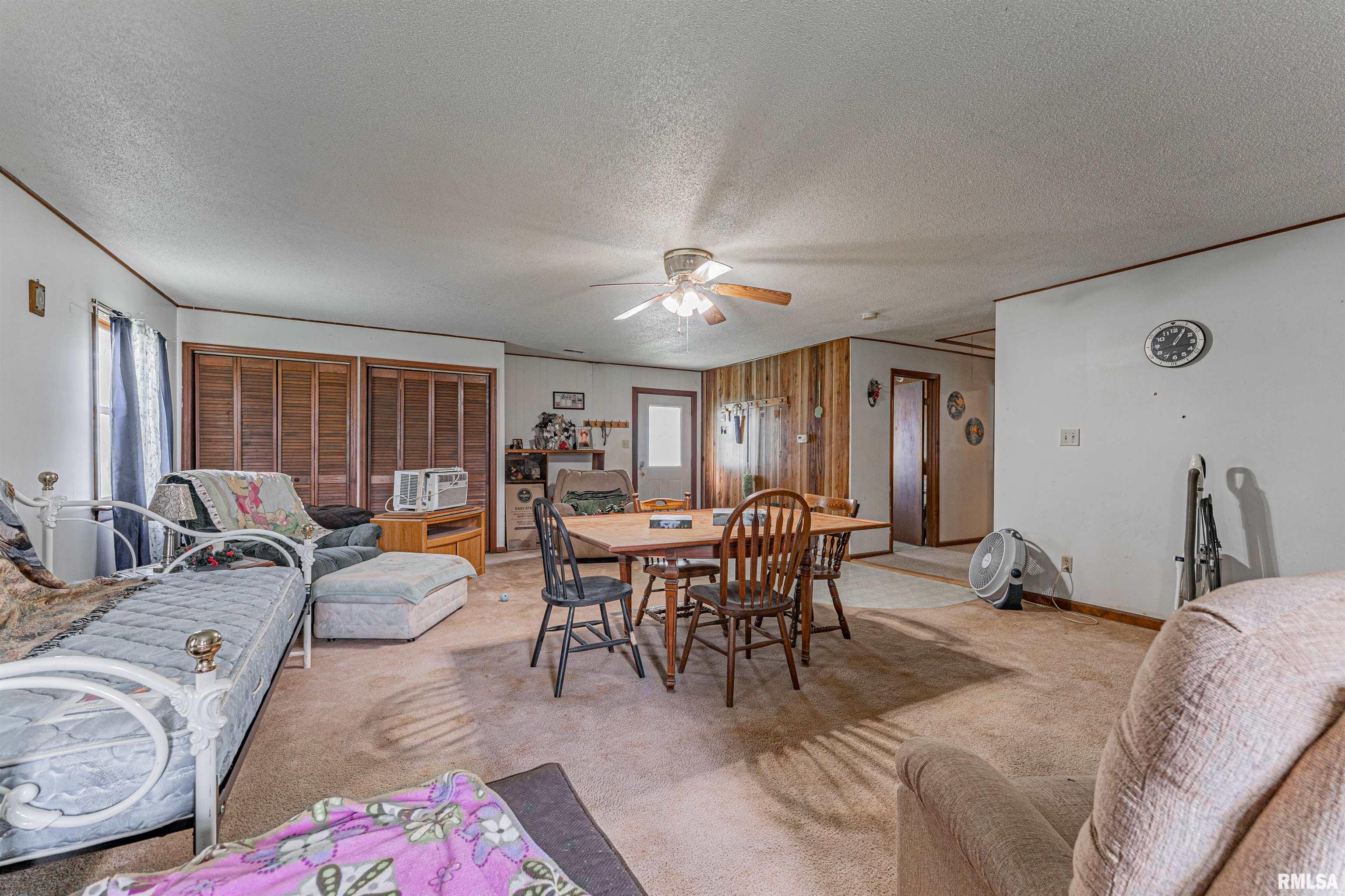 204 Mulberry Street, Lake Fork, Illinois image 9