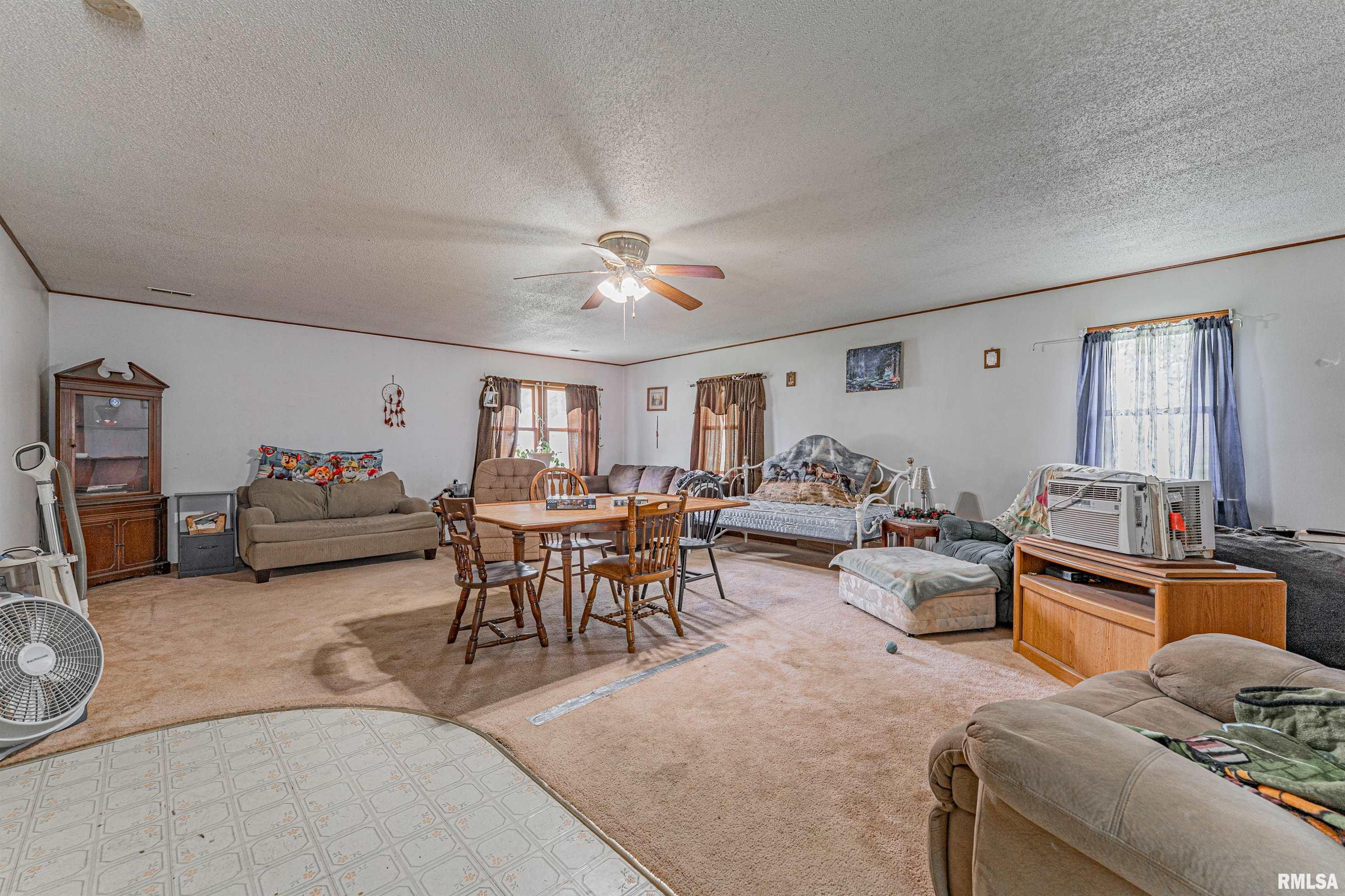 204 Mulberry Street, Lake Fork, Illinois image 8