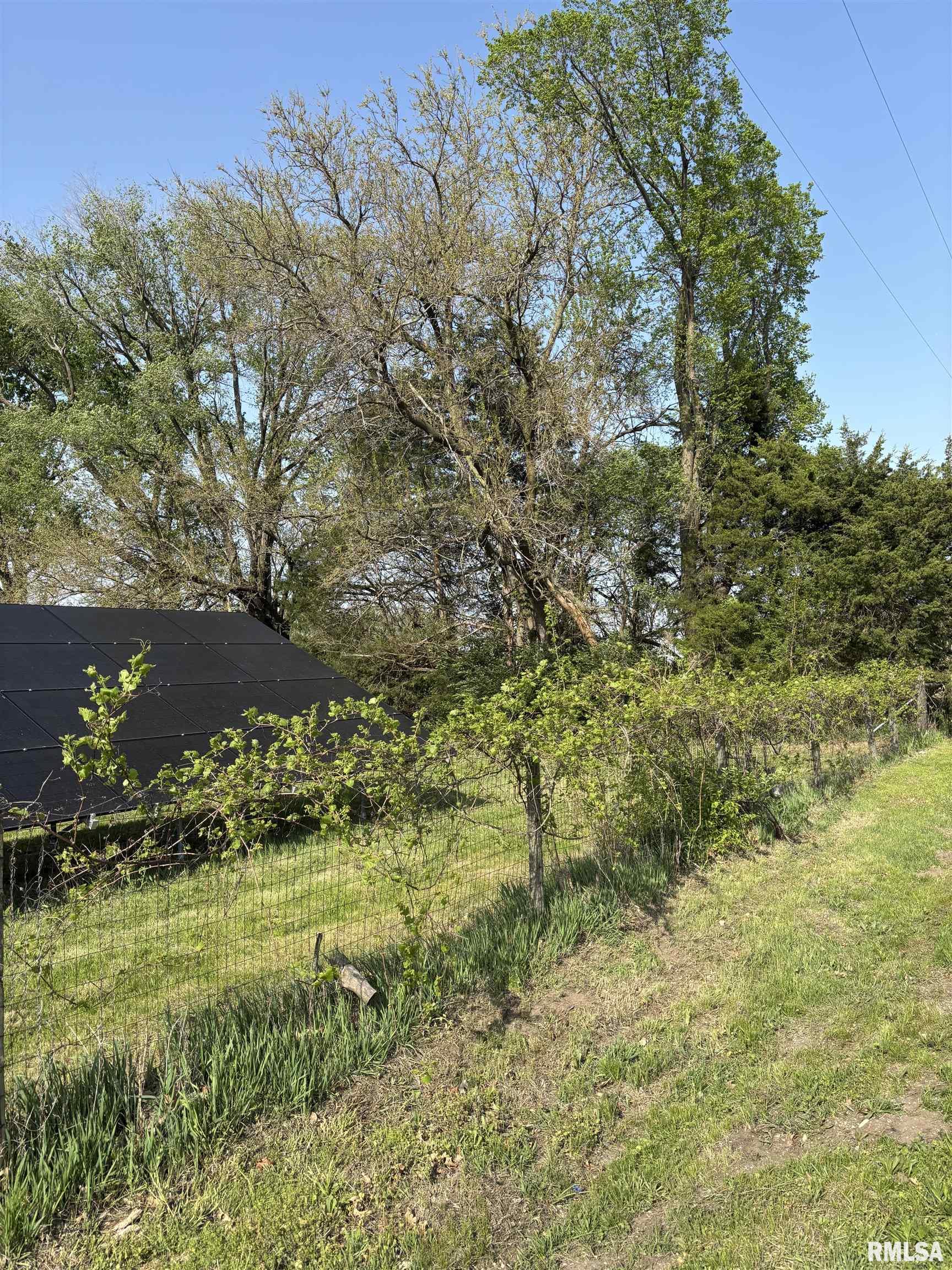 286 Kochs Lane, Meredosia, Illinois image 31
