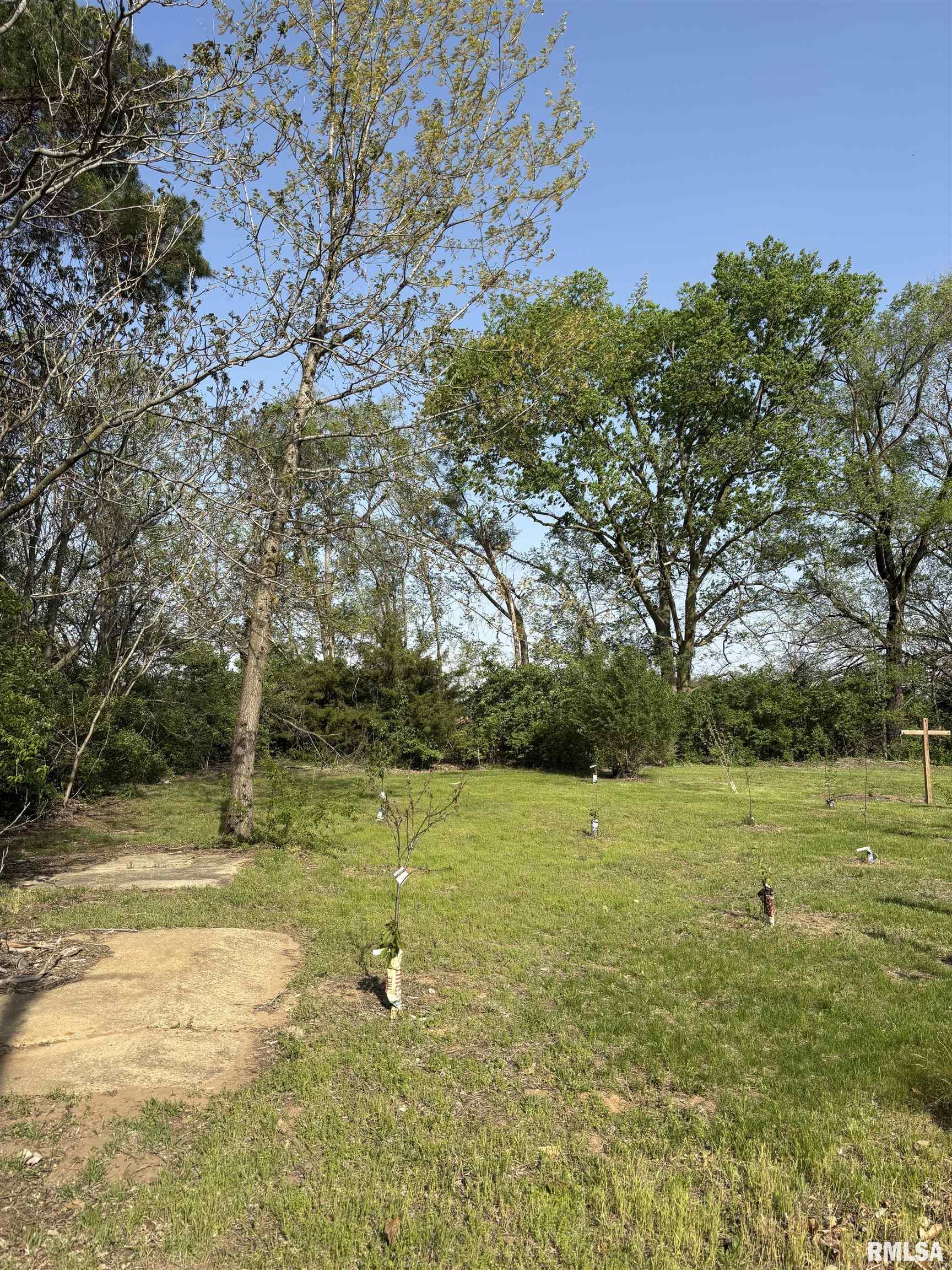 286 Kochs Lane, Meredosia, Illinois image 17