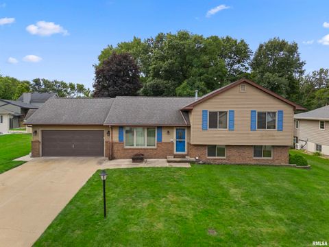 Homes For Sale - 105 Fox Run Court<br/> Tazewell County, East Peoria, IL 61611