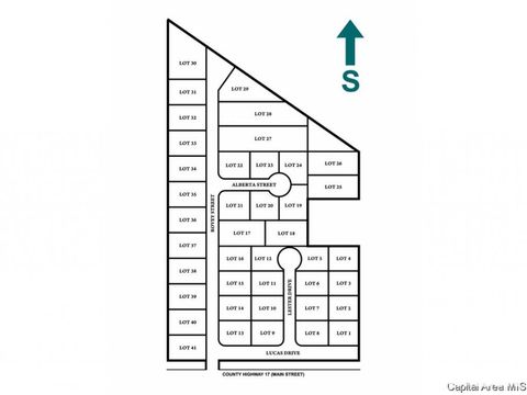 Vacant Land For Sale - LOTS Sunset Village Street<br/> Montgomery County, Farmersville, IL 62533