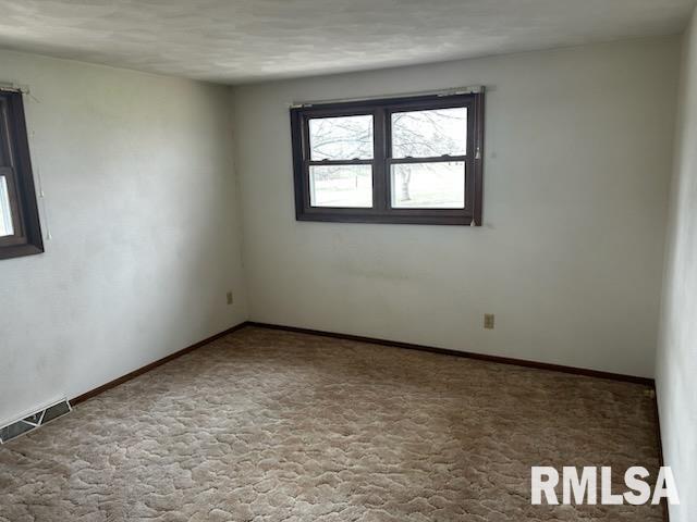 101 Hartman Street, Reynolds, Illinois image 14