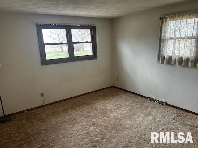 101 Hartman Street, Reynolds, Illinois image 11