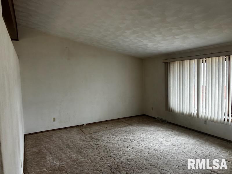 101 Hartman Street, Reynolds, Illinois image 9