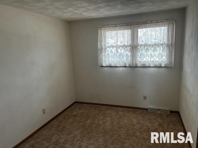 101 Hartman Street, Reynolds, Illinois image 12
