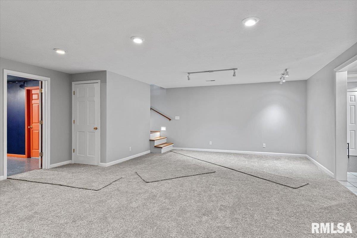 424 Wintergreen Drive, Chatham, Illinois image 33