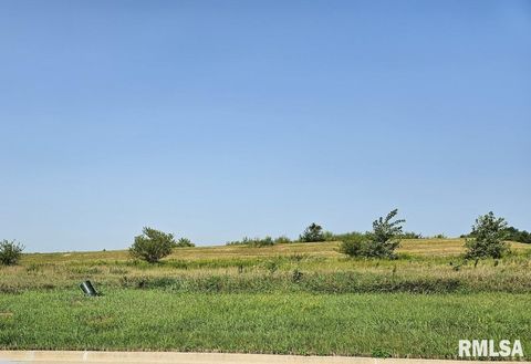 Vacant Land For Sale - LOT 80 Kyle Court<br/> Metamora, IL 61548