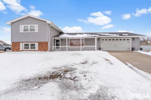 Homes For Sale - 50 Birch Lane<br/> Williamsville, IL 62639