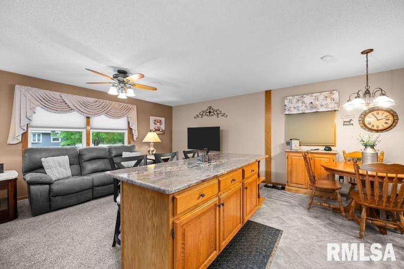 1005 17th Street, Port Byron, Illinois image 9