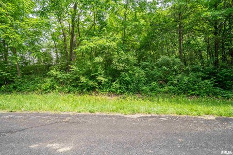 Vacant Land For Sale - 5115 W Harp Hollow Road<br/> Peoria County, Peoria, IL 61607