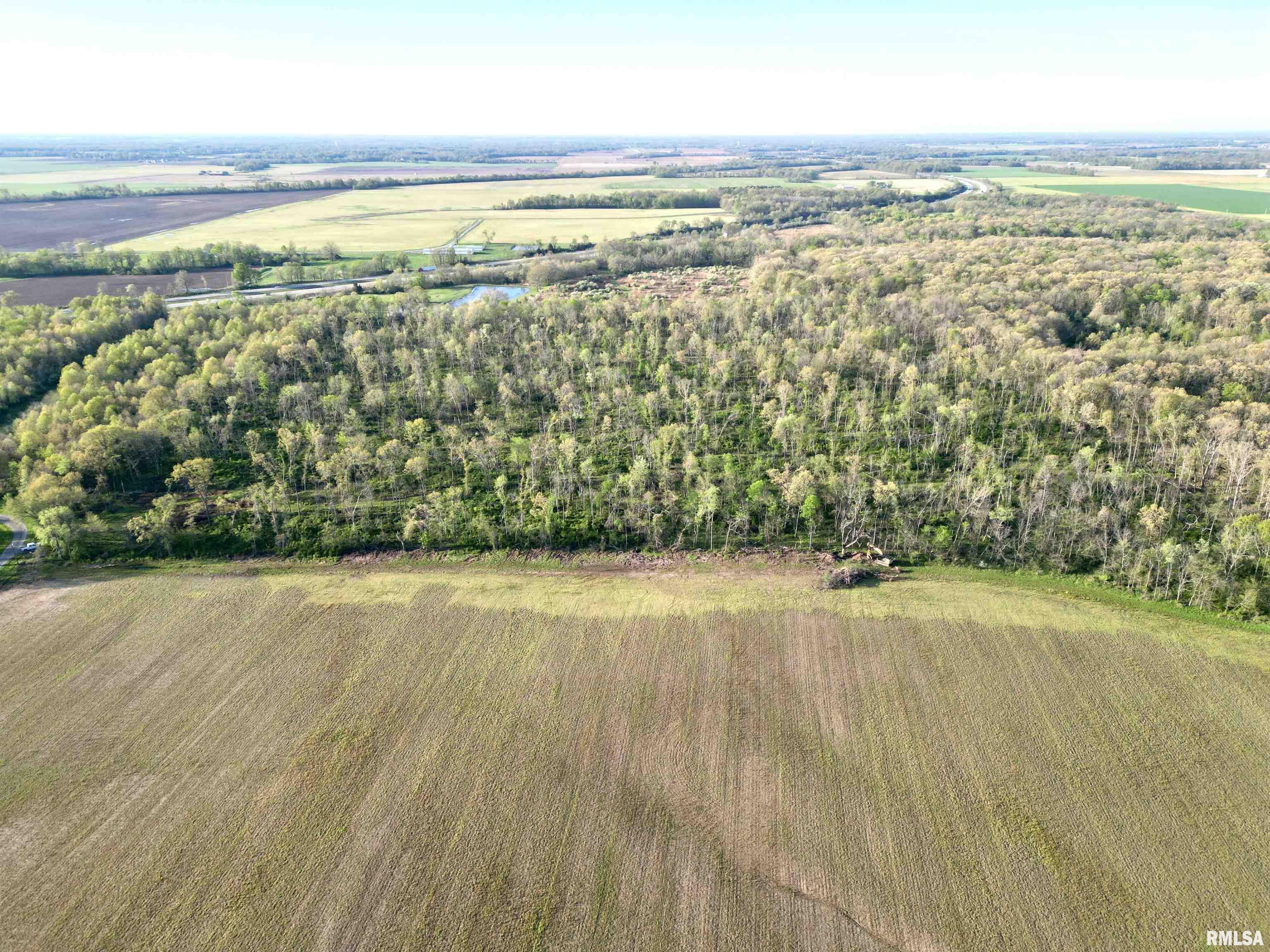 000 Bailey Road, Salem, Illinois image 9