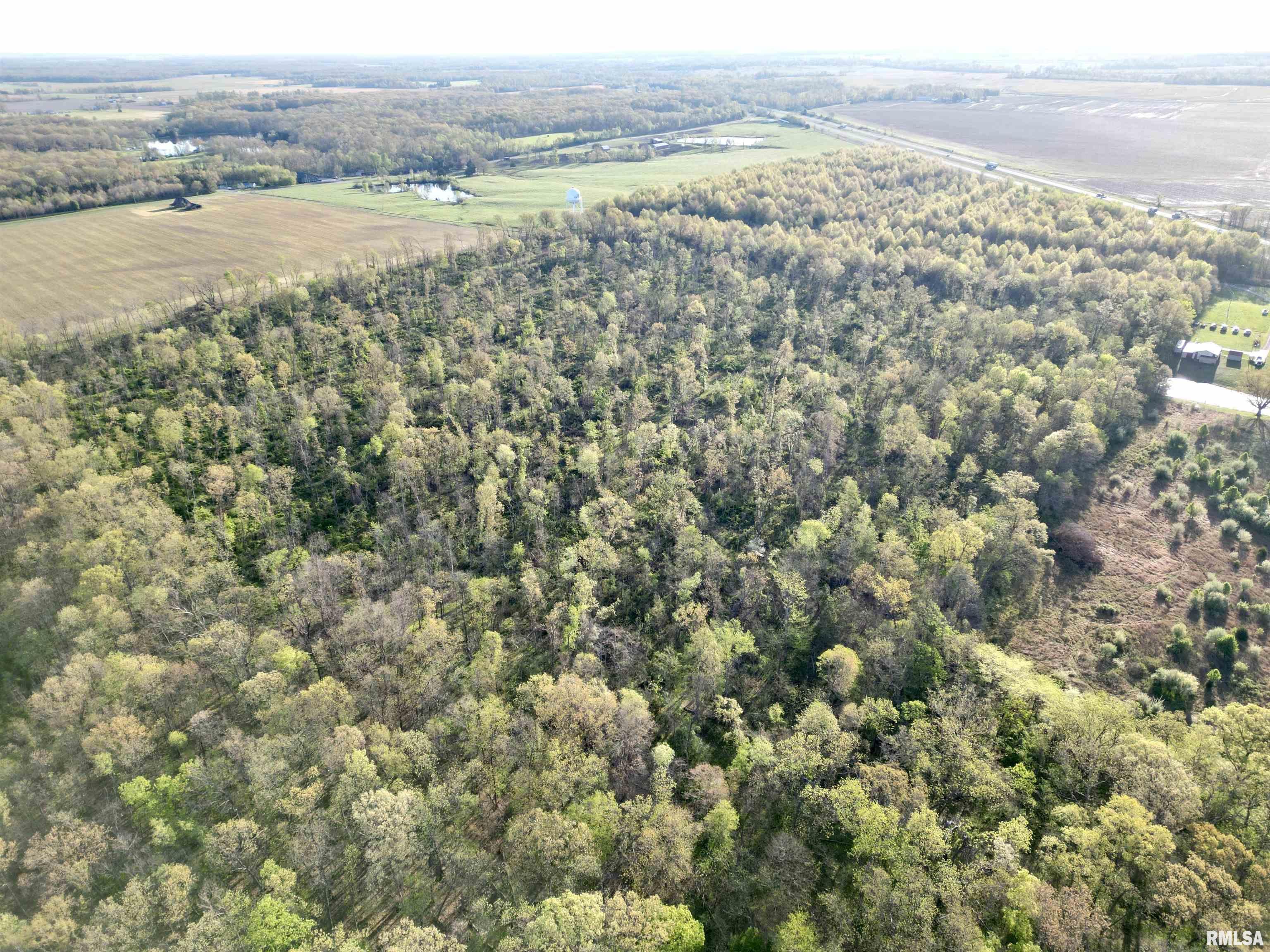 000 Bailey Road, Salem, Illinois image 1