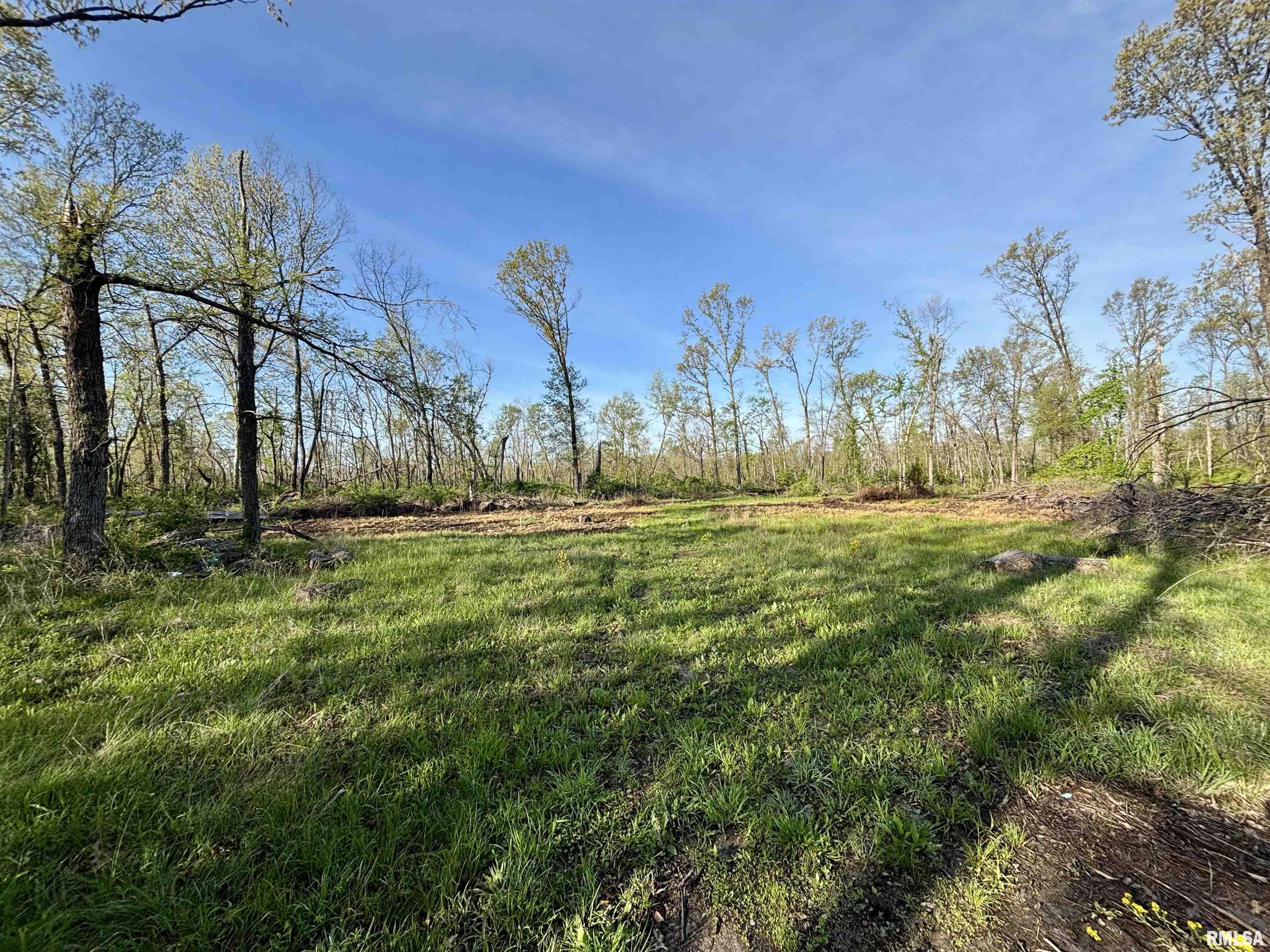 000 Bailey Road, Salem, Illinois image 14