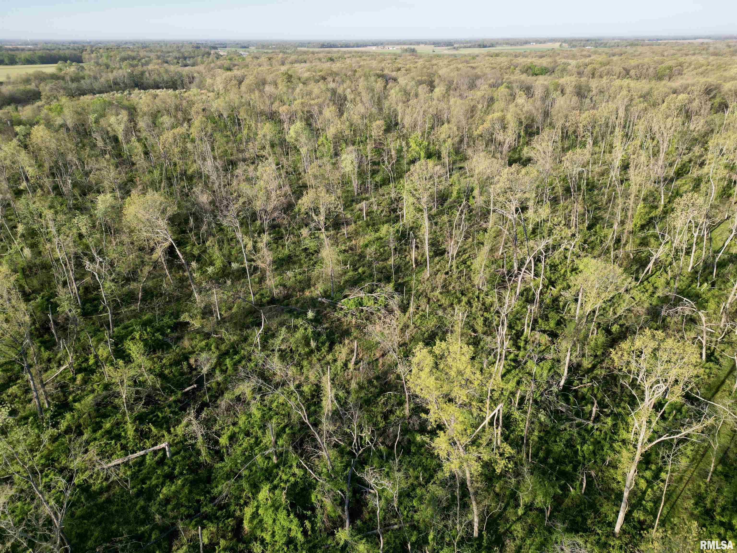 000 Bailey Road, Salem, Illinois image 11