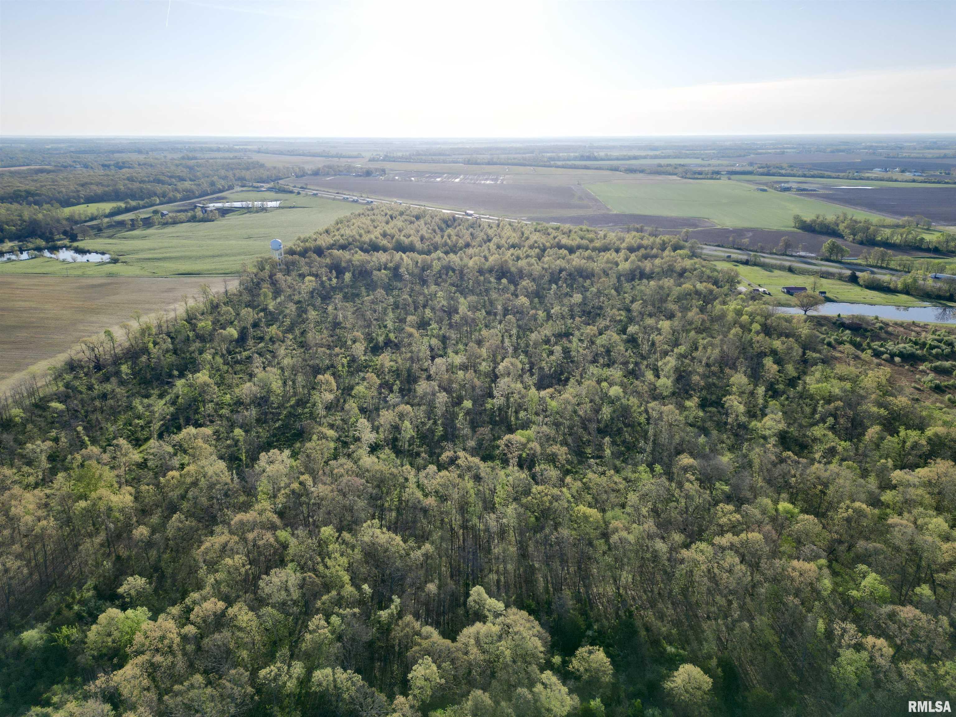 000 Bailey Road, Salem, Illinois image 6
