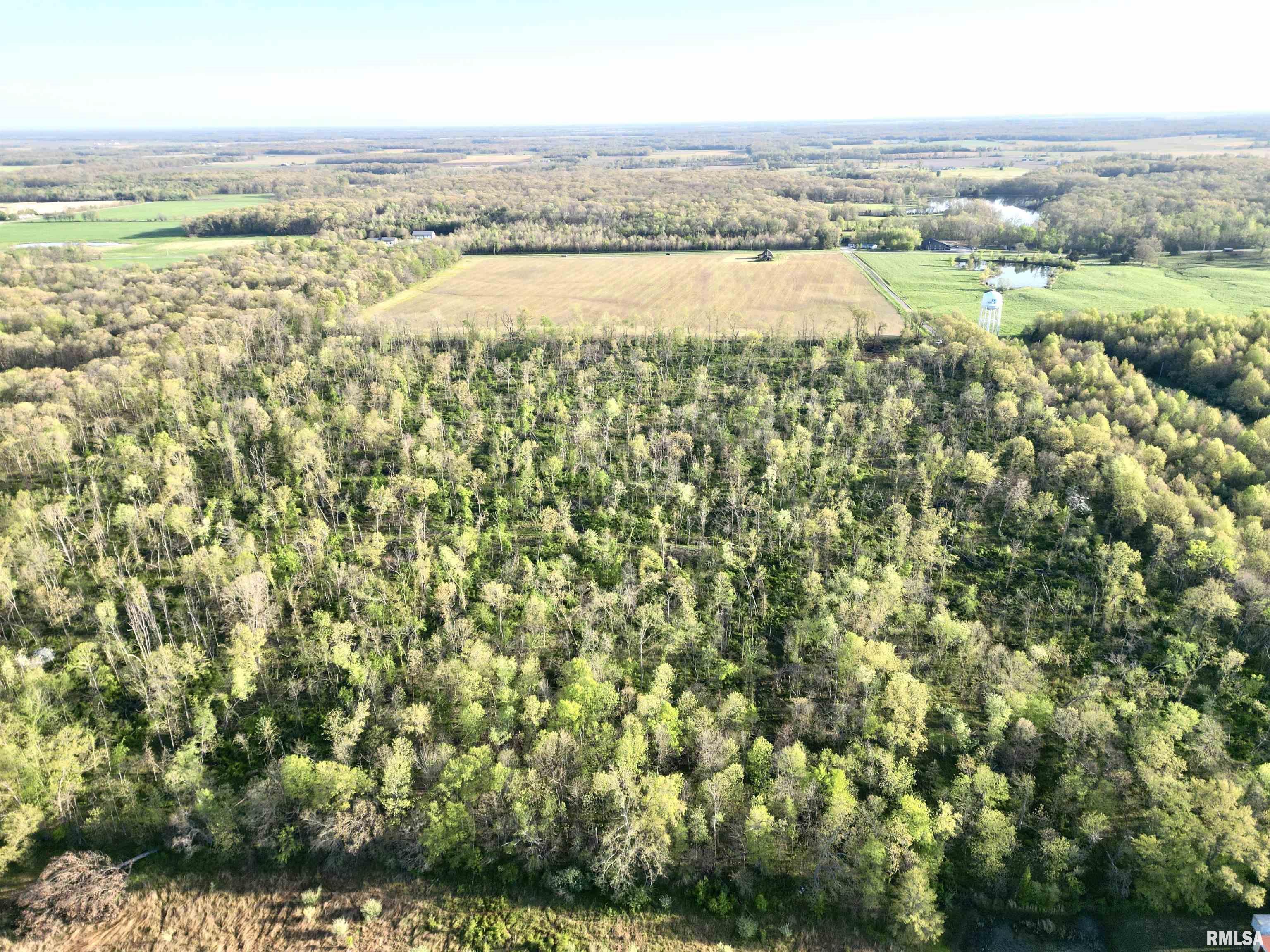 000 Bailey Road, Salem, Illinois image 3