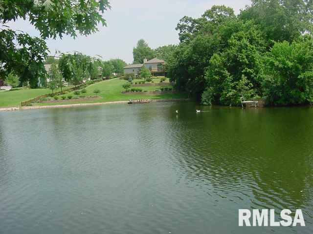 55 Rustic Lake Estates, Colona, Illinois image 4