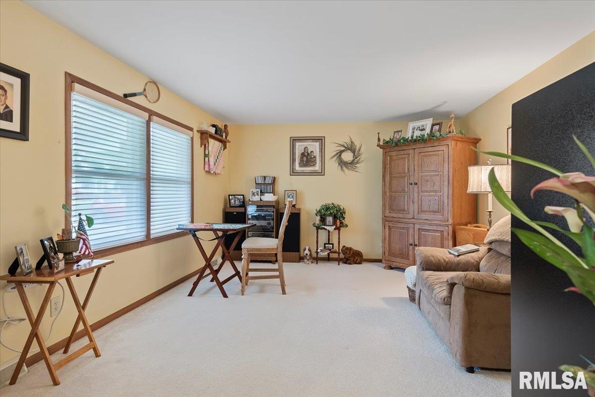 301 N Alta Street, Ashland, Illinois image 42