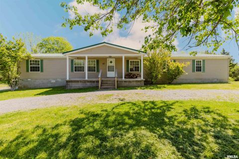 Photo of 65 Payne Drive, Goreville, IL 62939 (MLS # PA1265775)