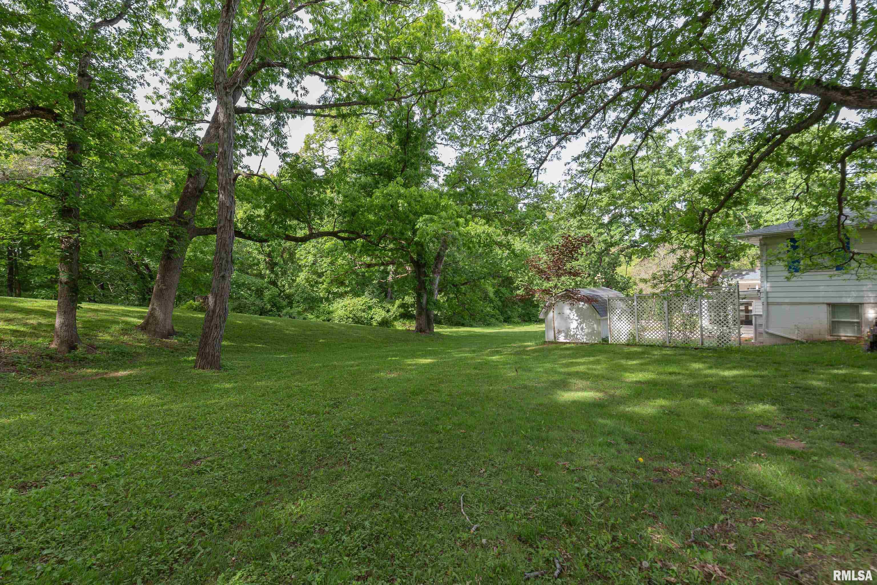 12312 Niabi Zoo Road, Coal Valley, Illinois image 13