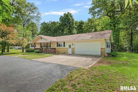 Homes For Sale - 12451 N State Route 78 Route<br/> Havana, IL 62644