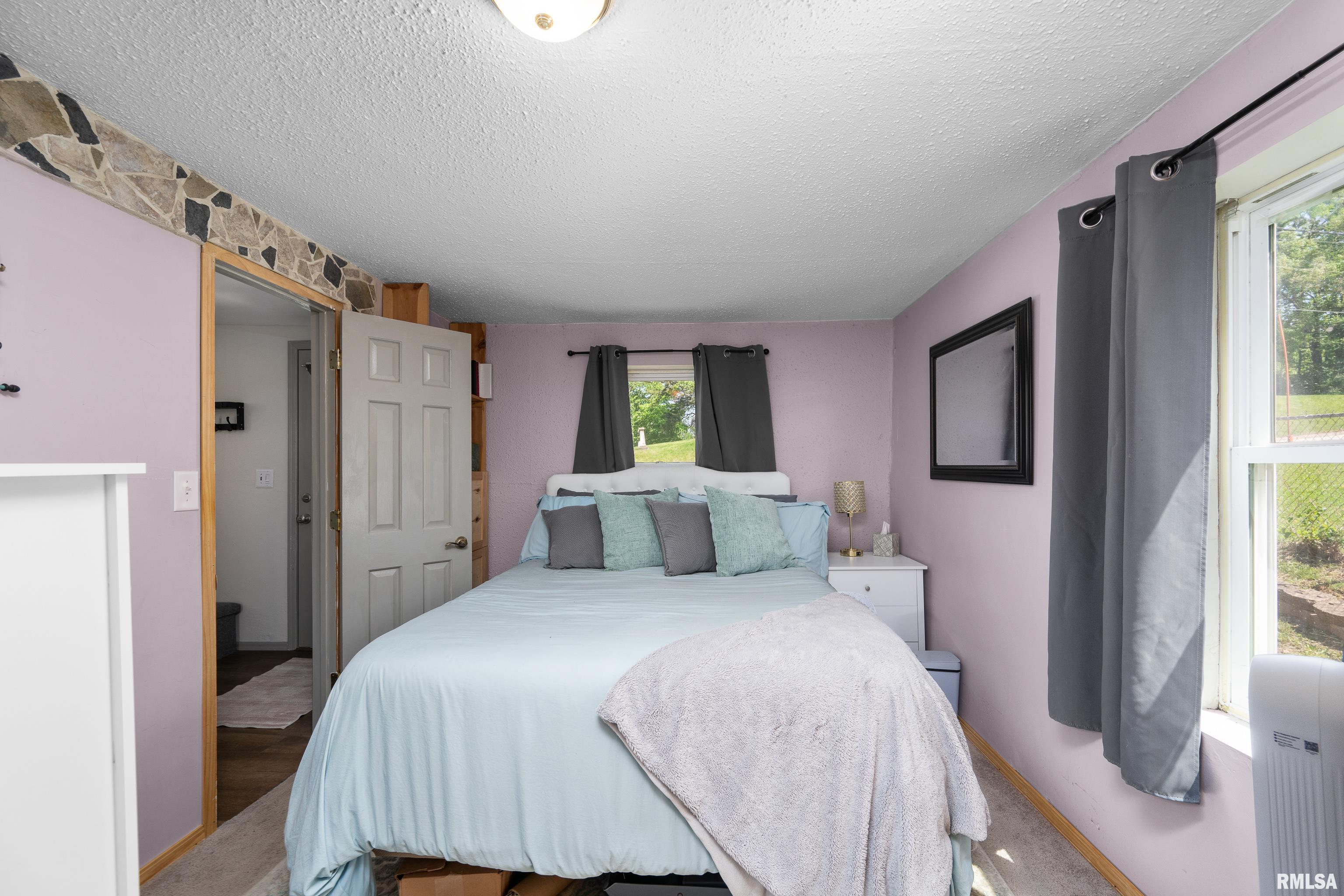 411 Cherry Street, Port Byron, Illinois image 7