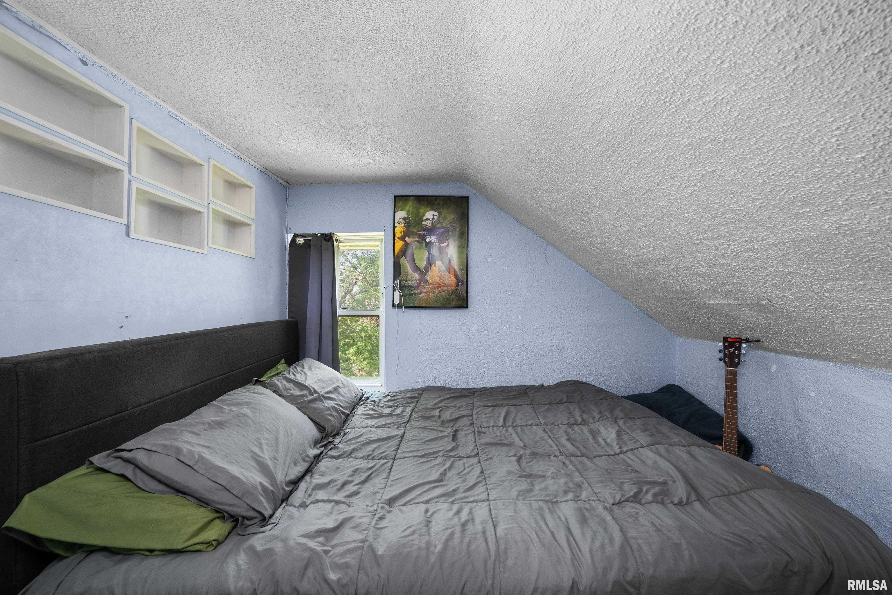 411 Cherry Street, Port Byron, Illinois image 16
