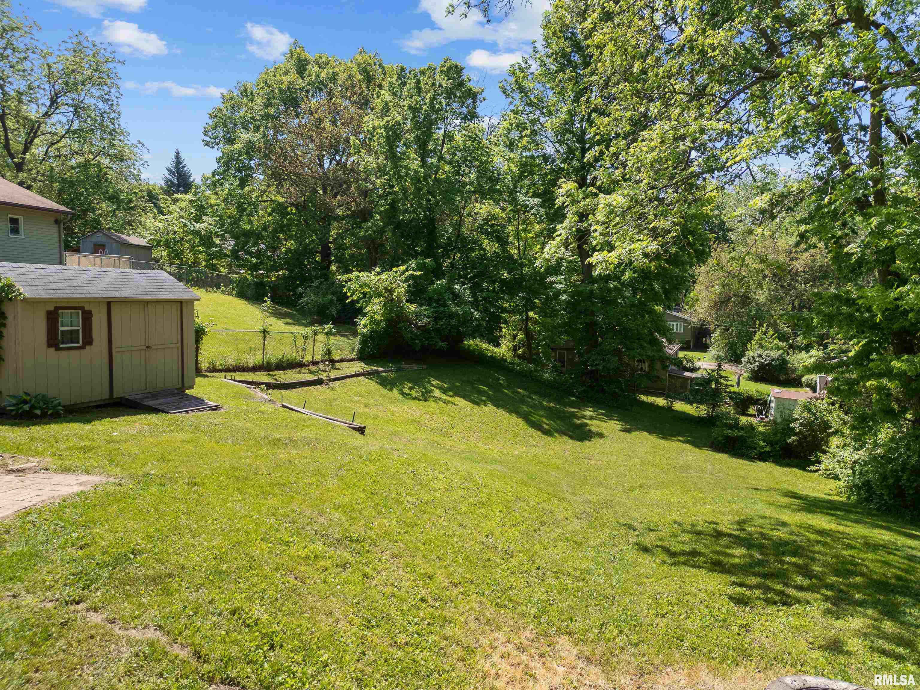 411 Cherry Street, Port Byron, Illinois image 22