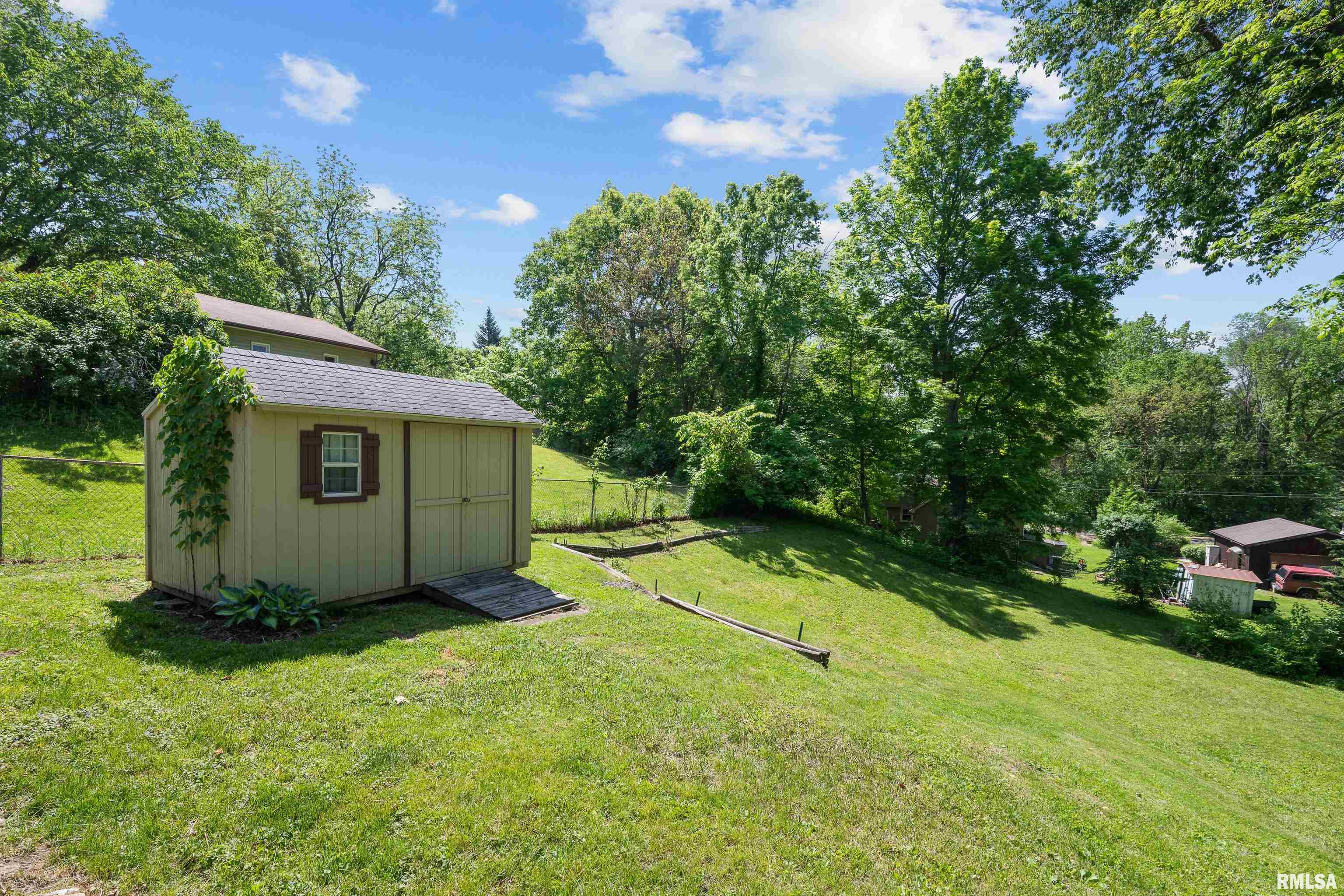 411 Cherry Street, Port Byron, Illinois image 21