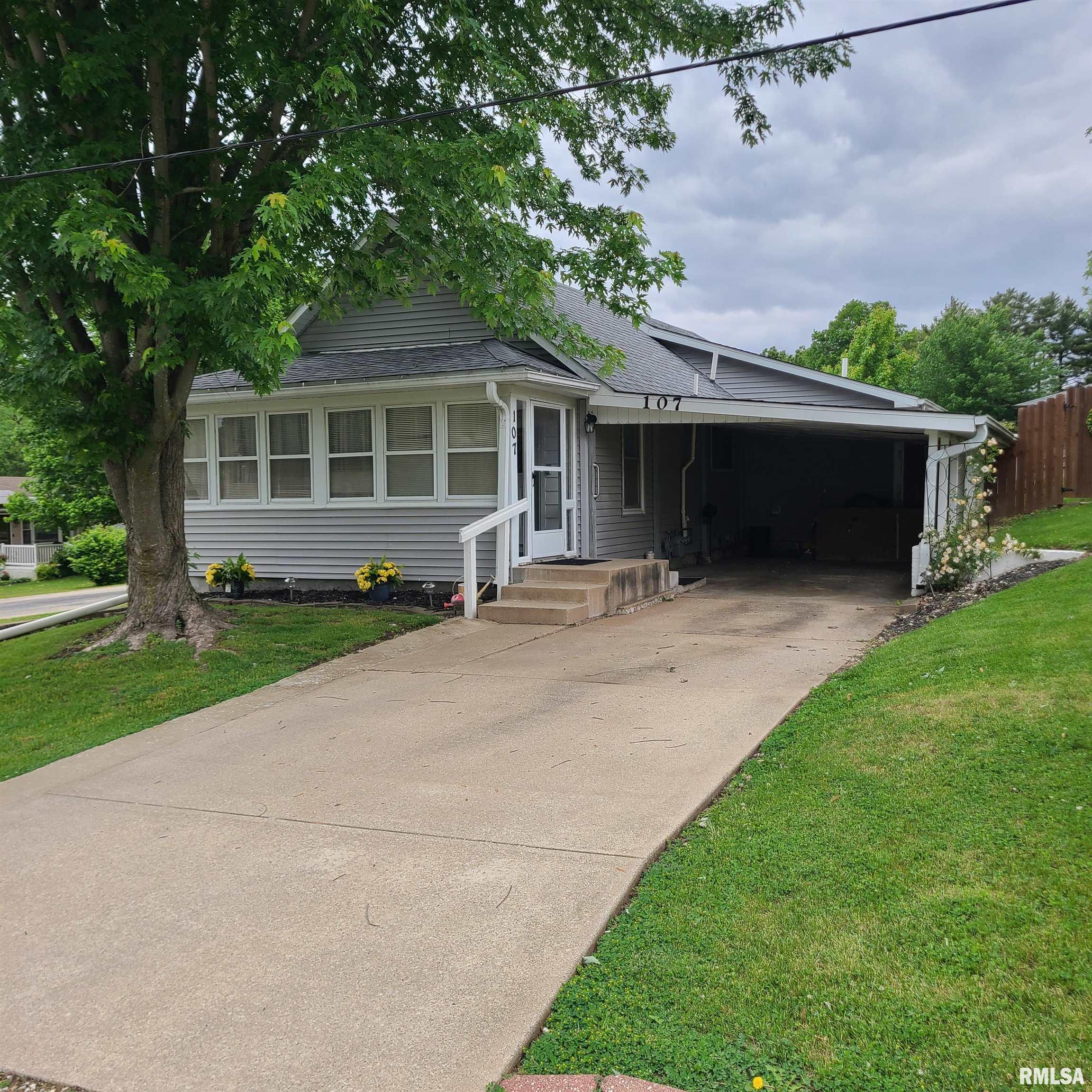 107 Division Street, East Galesburg, Illinois image 1