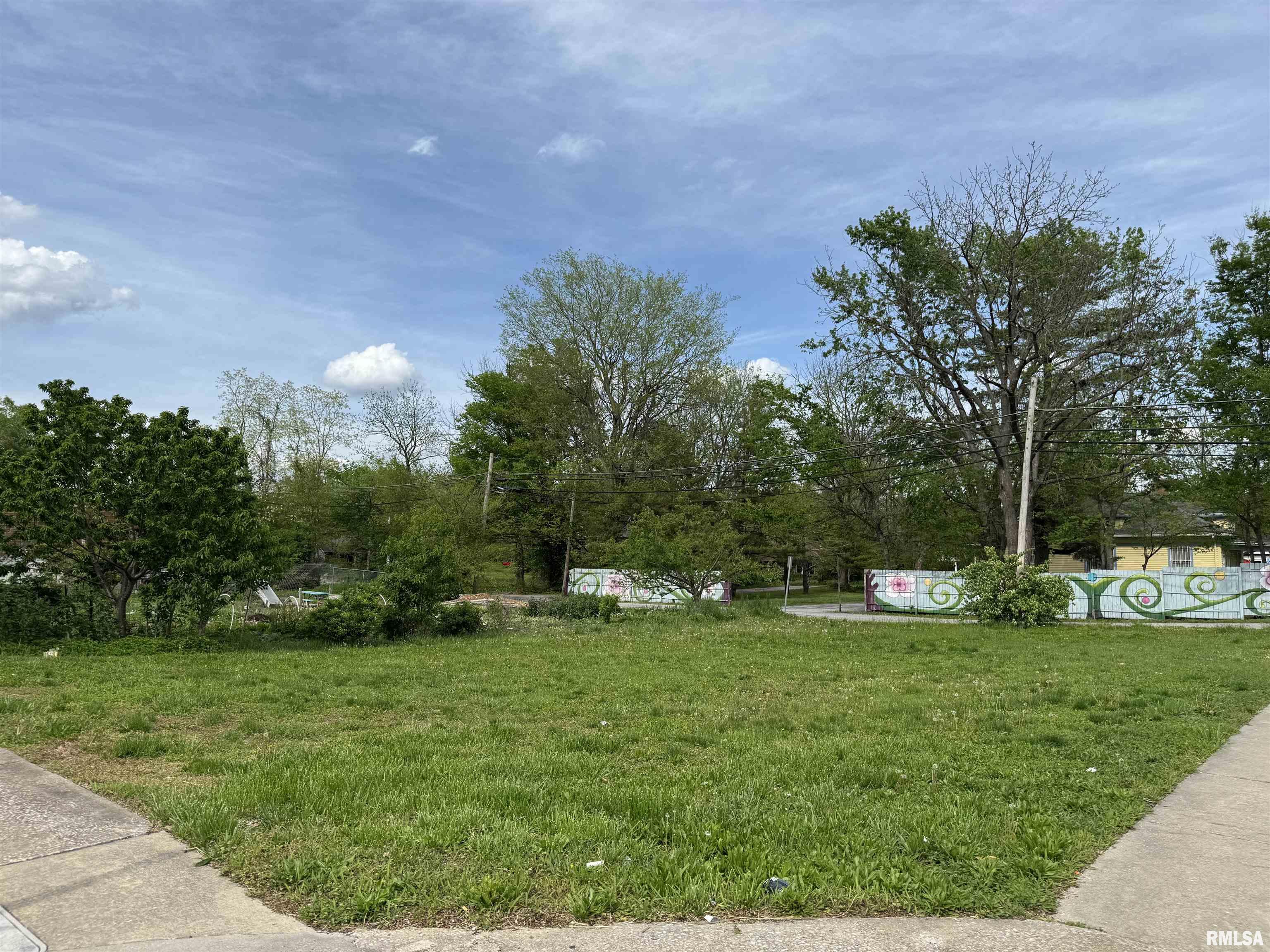 201 N Washington Street, Carbondale, Illinois image 1