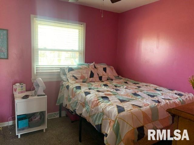 18496 Emmerson Airline Road, Girard, Illinois image 22