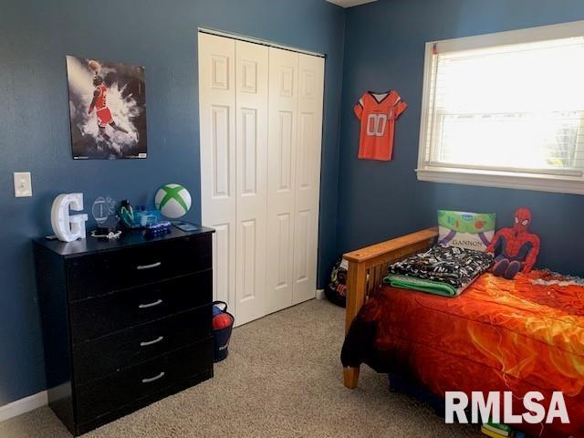 18496 Emmerson Airline Road, Girard, Illinois image 21