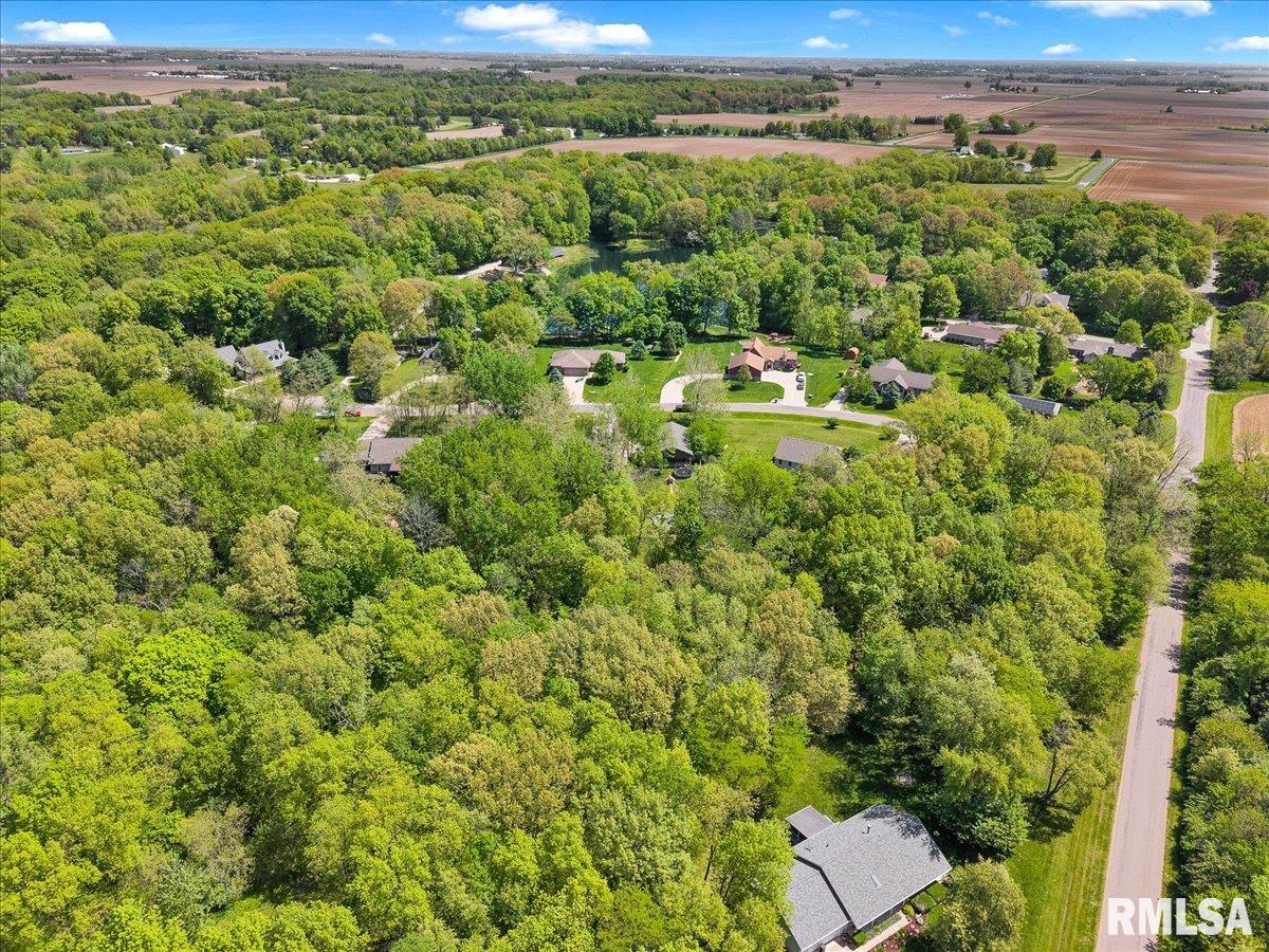 13399 Oak Lake Court, Tremont, Illinois image 43