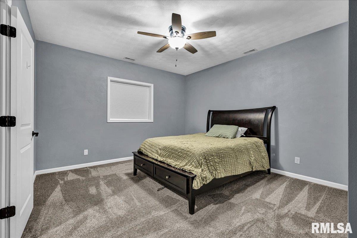 13399 Oak Lake Court, Tremont, Illinois image 25