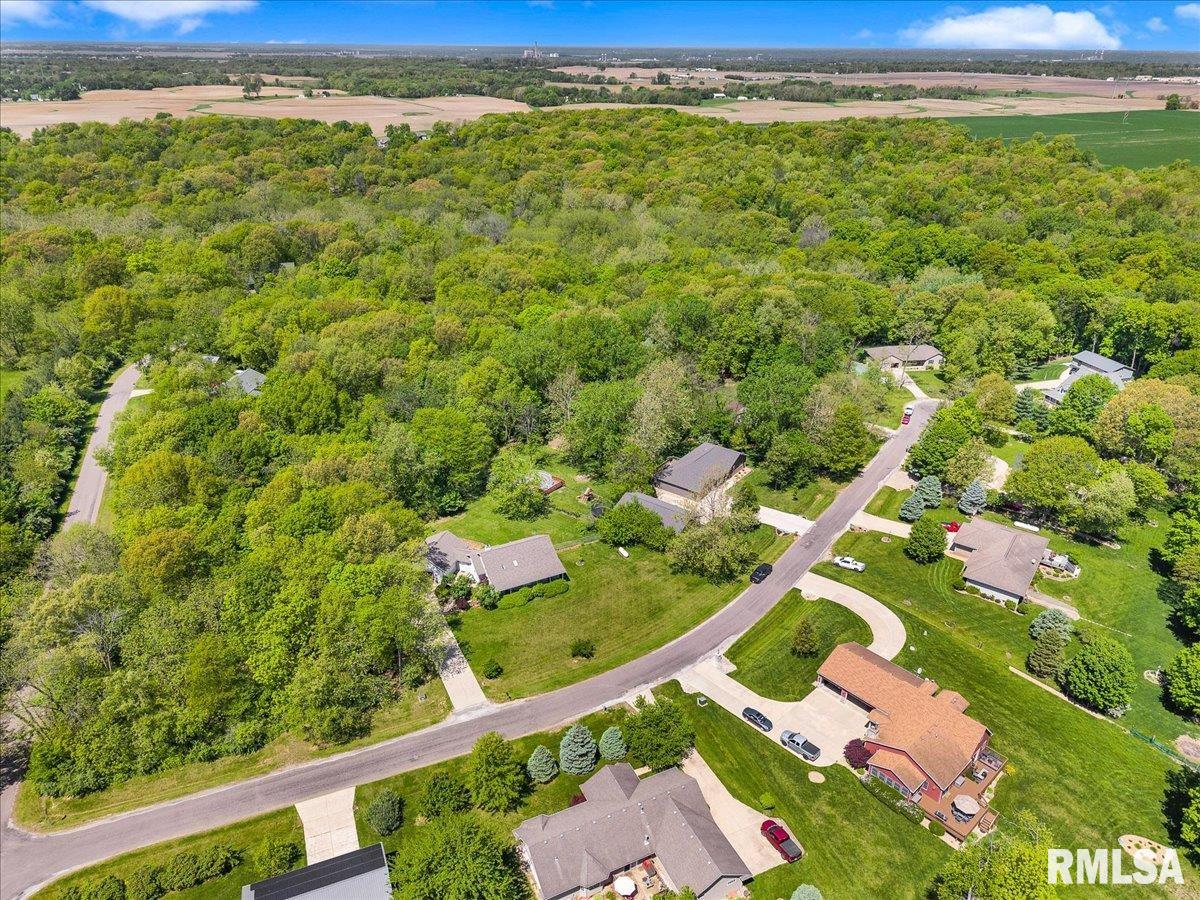 13399 Oak Lake Court, Tremont, Illinois image 42