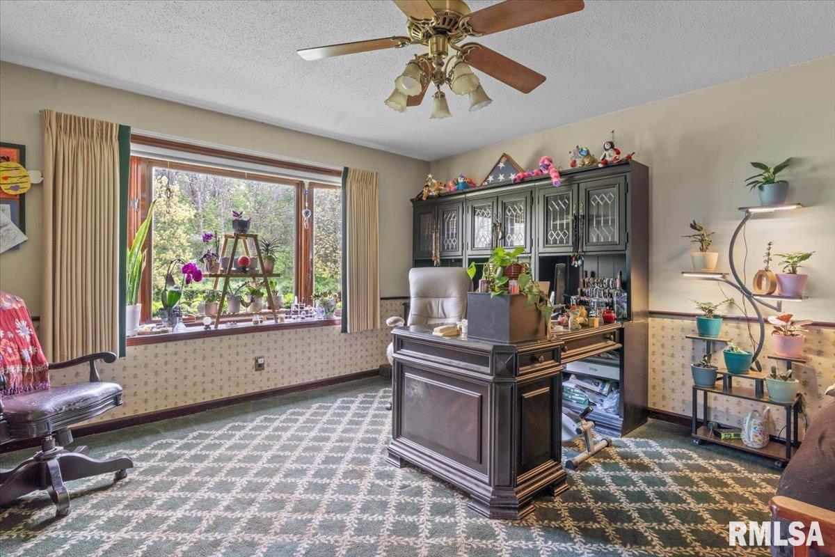 9068 Old Indian Trail, Chatham, Illinois image 19