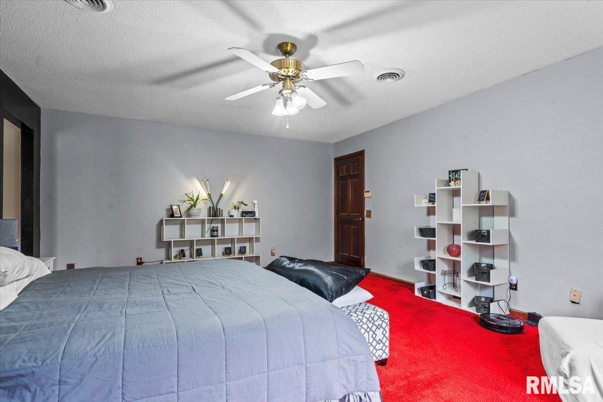 9068 Old Indian Trail, Chatham, Illinois image 27
