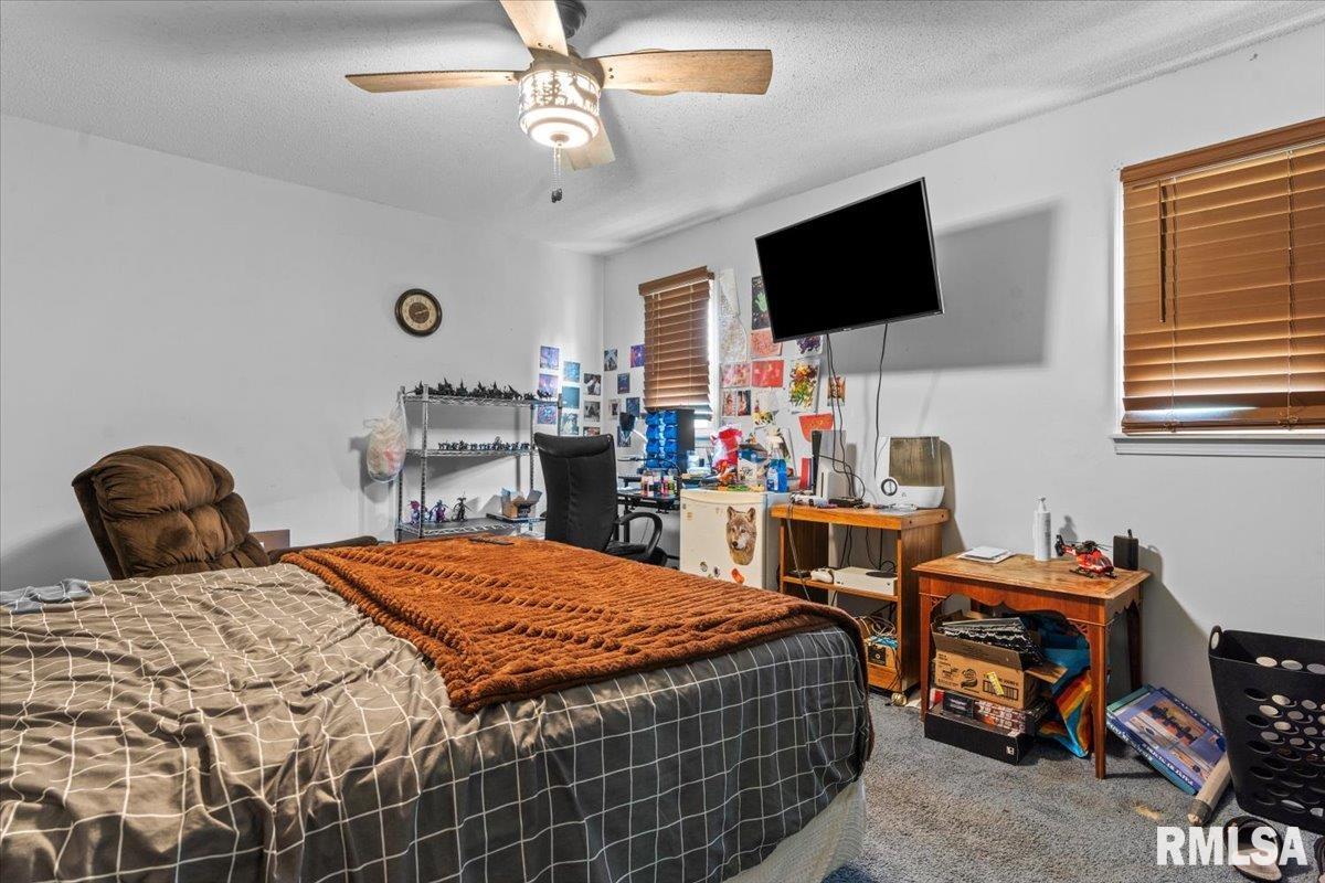 9068 Old Indian Trail, Chatham, Illinois image 32