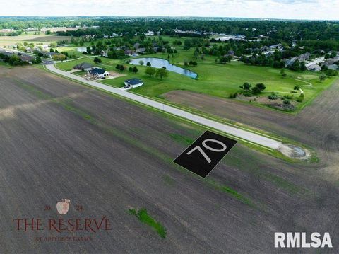 Vacant Land For Sale - 70 Applebee Farms Drive<br/> Morgan County, Jacksonville, IL 62650