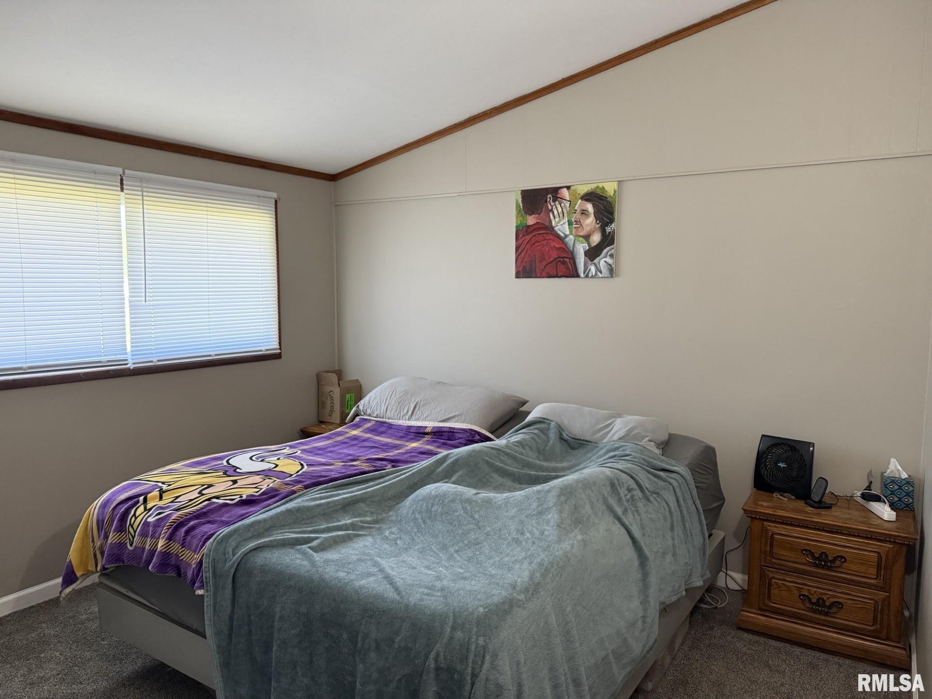 176 Lakeview Drive, Wataga, Illinois image 5