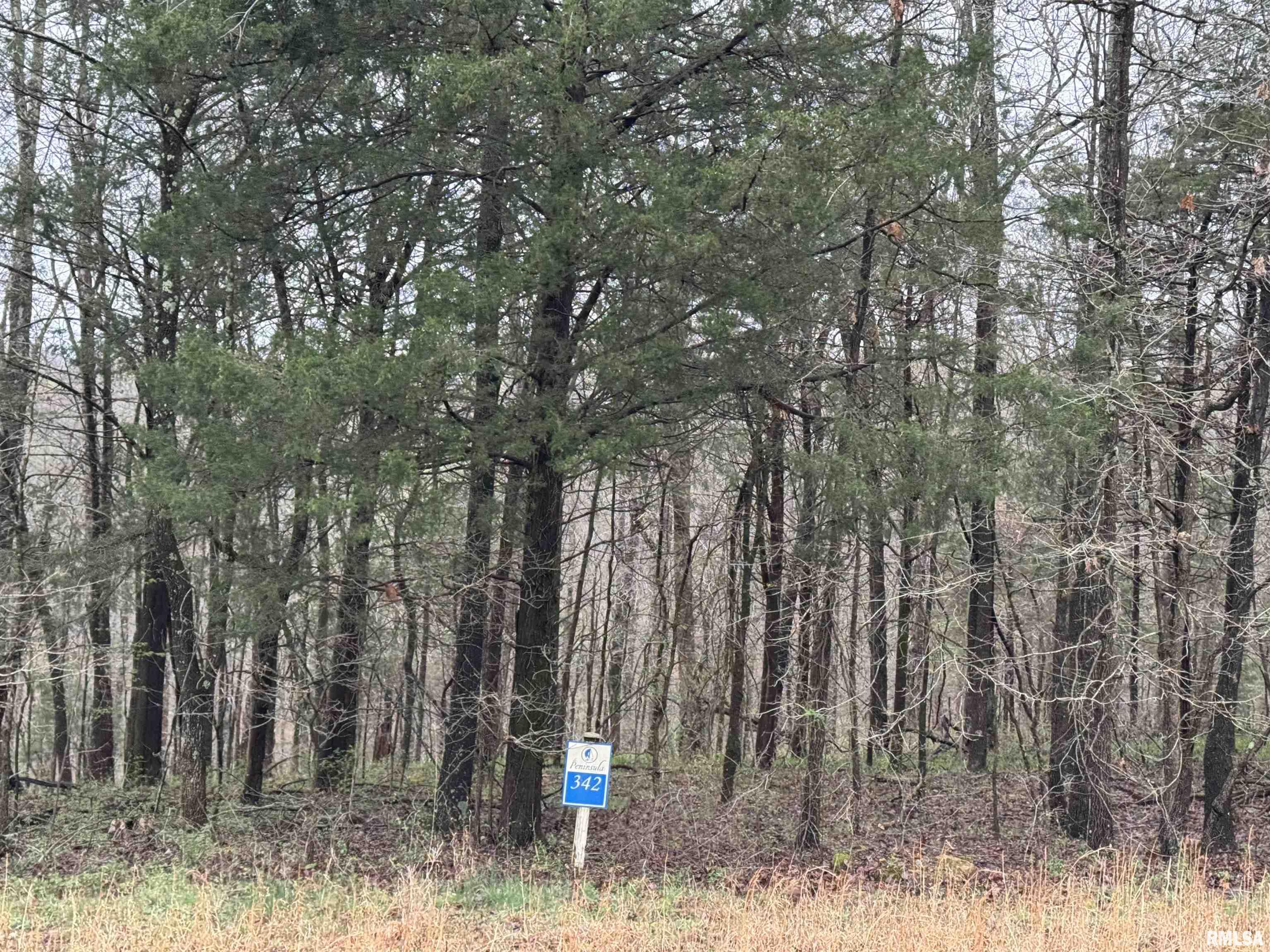 LOT 341&342 Clifty Lane, Goreville, Illinois image 1