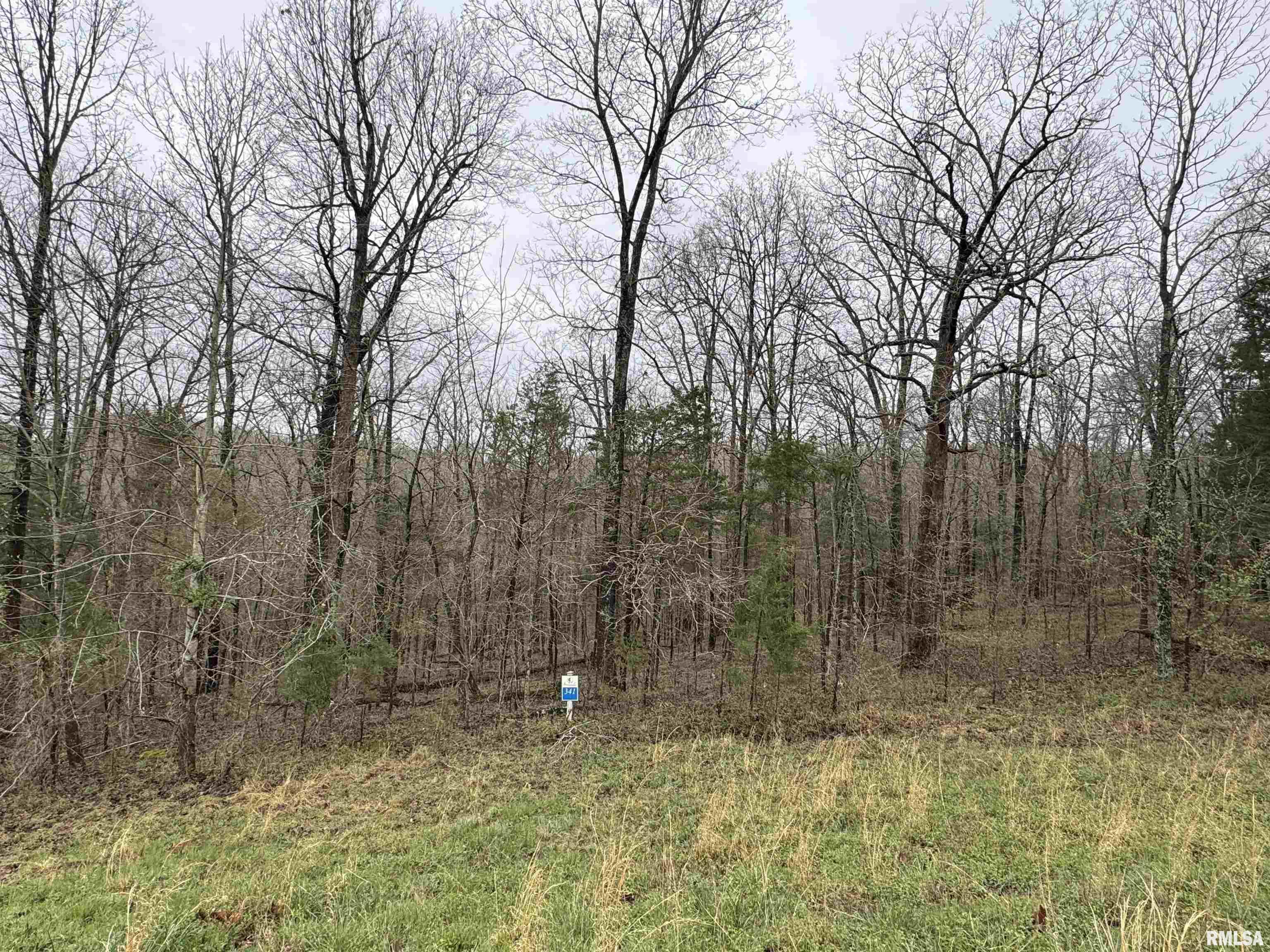 LOT 341&342 Clifty Lane, Goreville, Illinois image 2