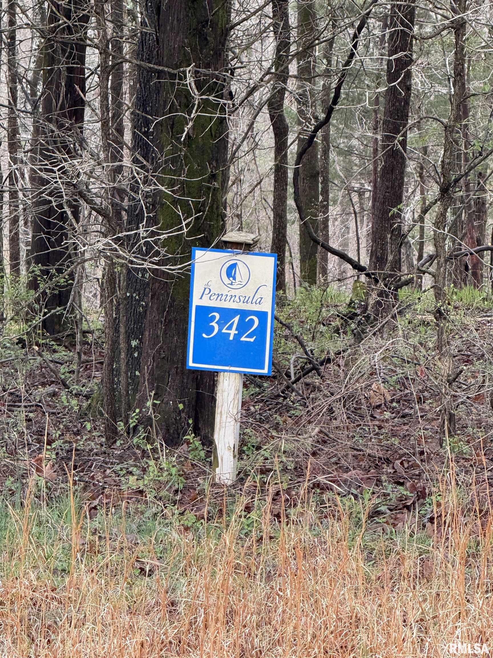 LOT 341&342 Clifty Lane, Goreville, Illinois image 4