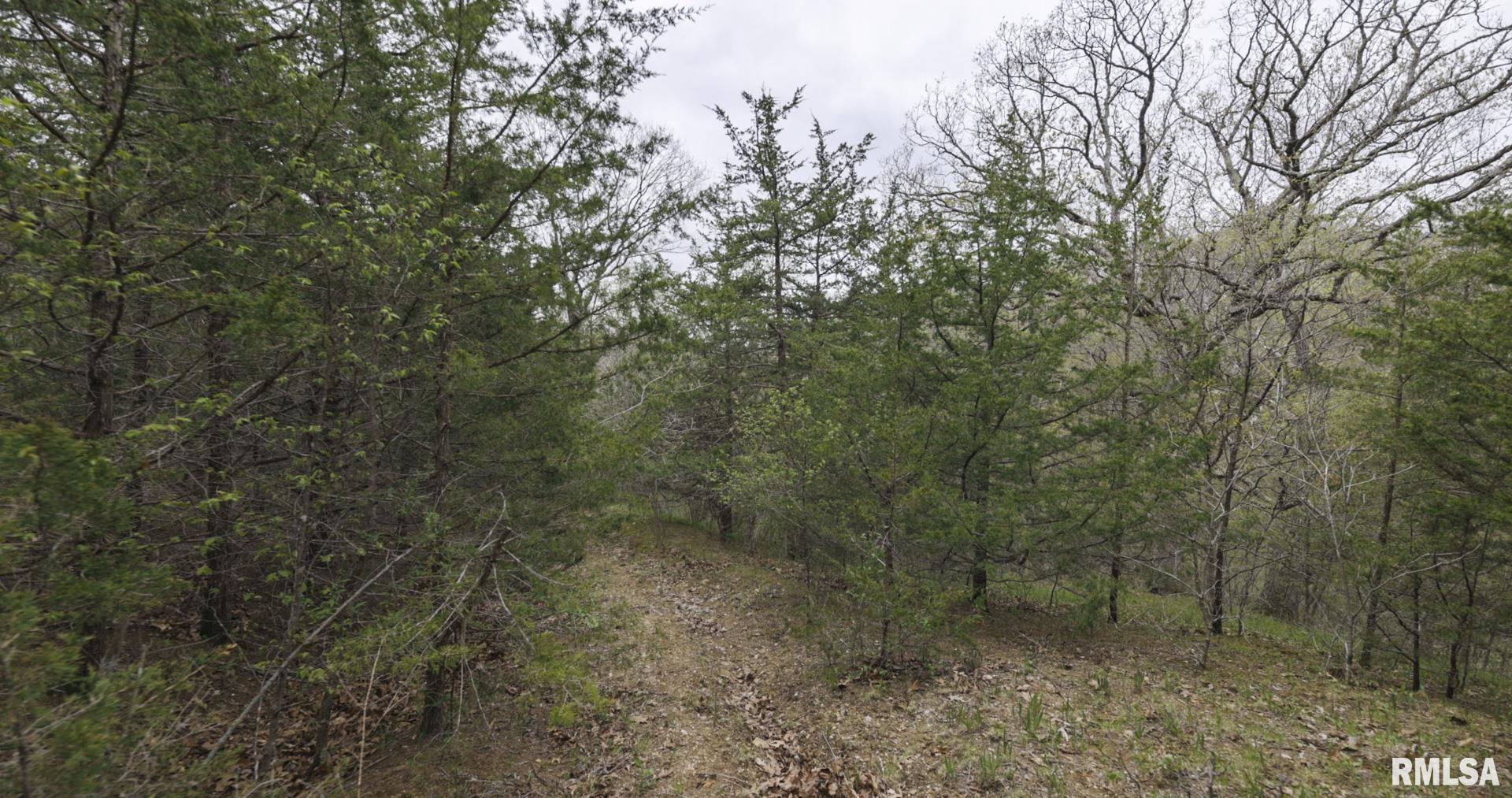 Chambers Road, Smithfield, Illinois image 35